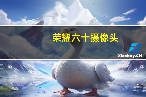 荣耀六十摄像头