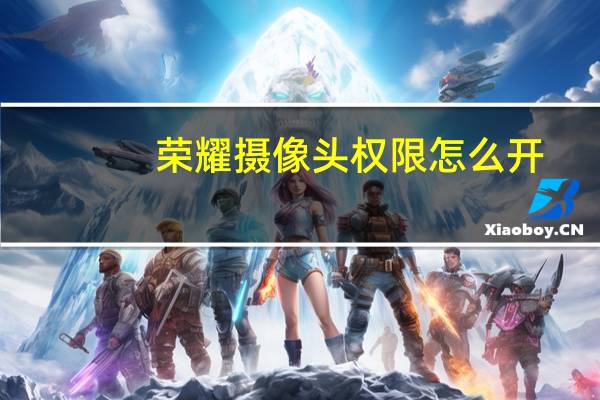 荣耀摄像头权限怎么开