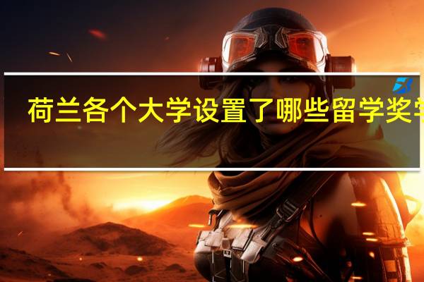 荷兰各个大学设置了哪些留学奖学金