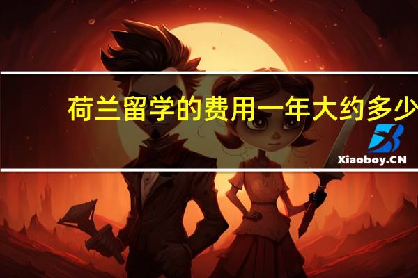 荷兰留学的费用一年大约多少