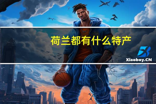 荷兰都有什么特产