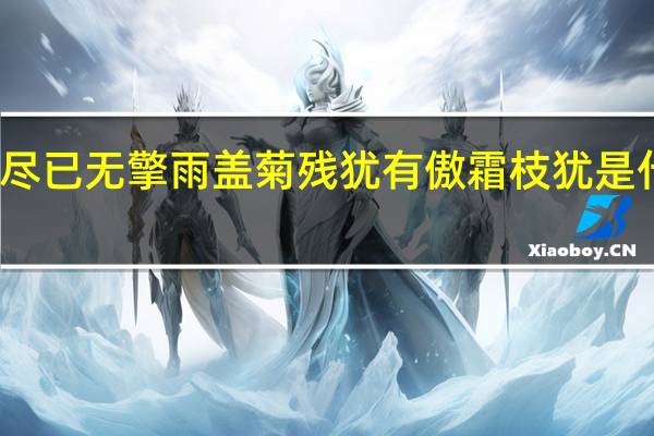 荷尽已无擎雨盖菊残犹有傲霜枝犹是什么意思