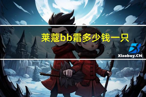 莱蔻bb霜多少钱一只