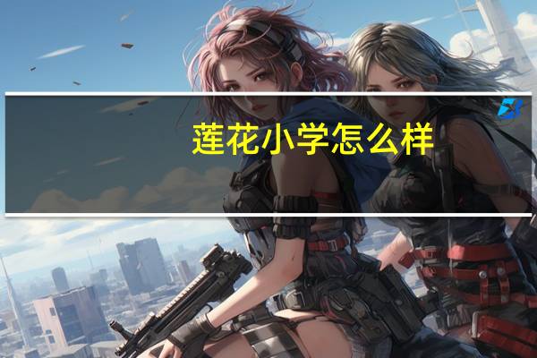 莲花小学怎么样