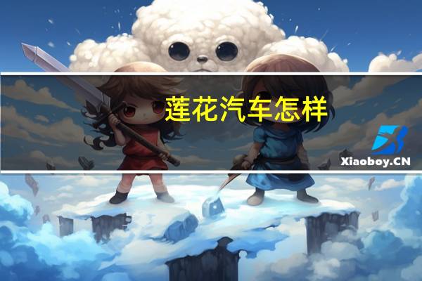 莲花汽车怎样