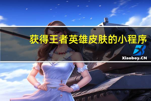 获得王者英雄皮肤的小程序