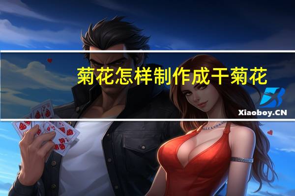 菊花怎样制作成干菊花