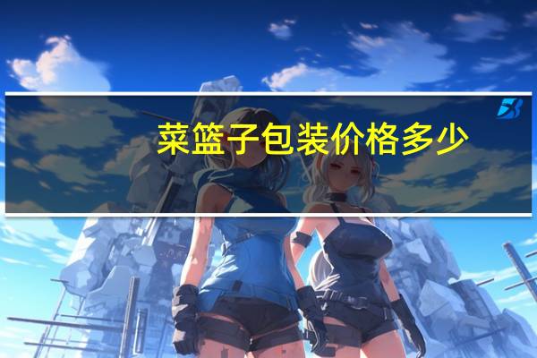 菜篮子包装价格多少