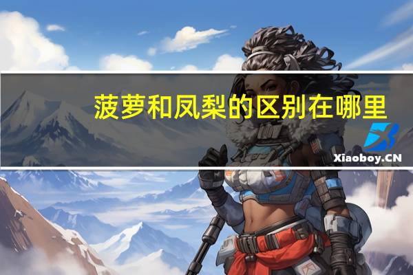 菠萝和凤梨的区别在哪里