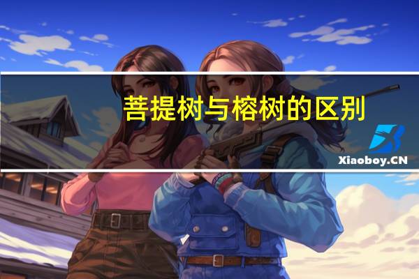 菩提树与榕树的区别