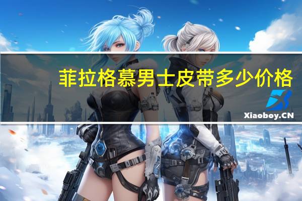 菲拉格慕男士皮带多少价格
