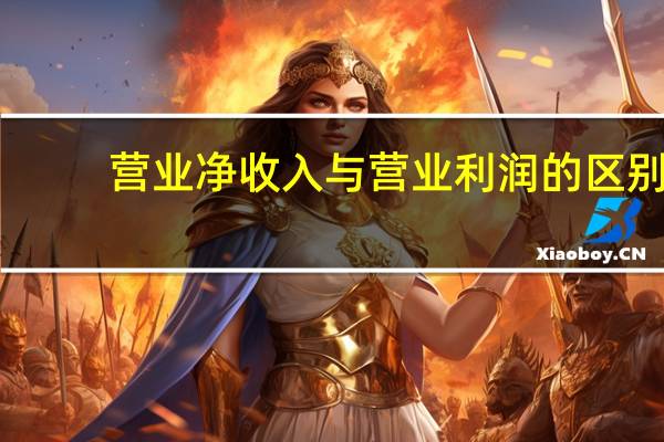 营业净收入与营业利润的区别