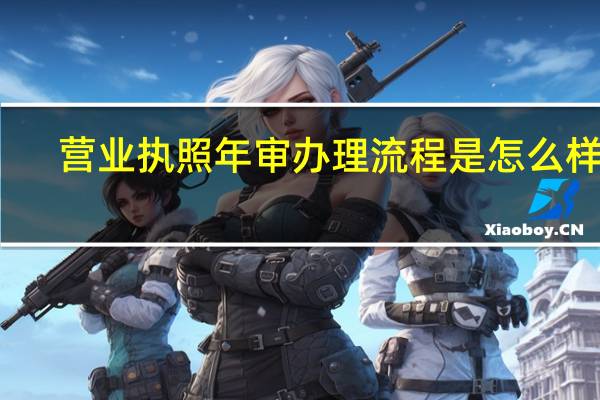 营业执照年审办理流程是怎么样的