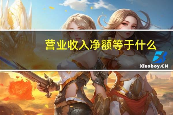营业收入净额等于什么