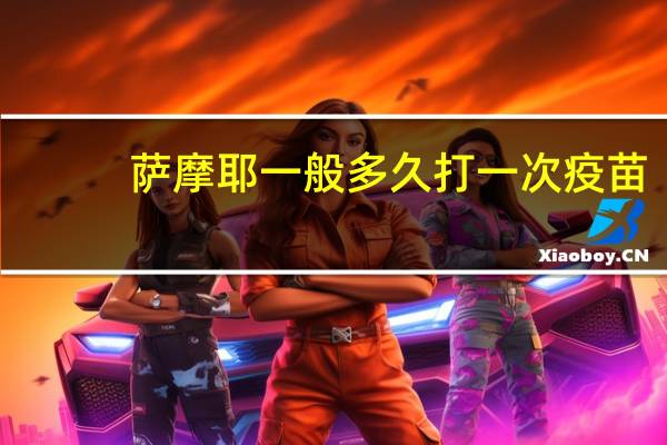 萨摩耶一般多久打一次疫苗