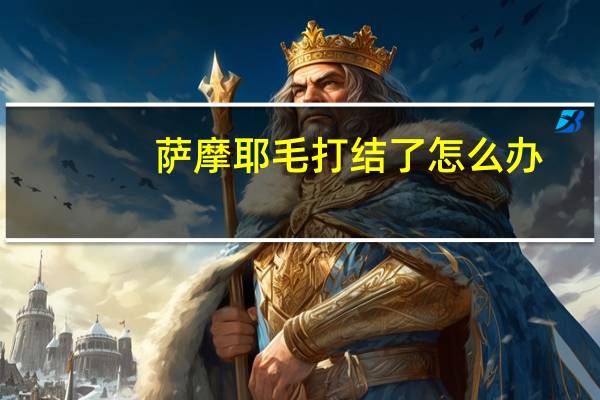 萨摩耶毛打结了怎么办