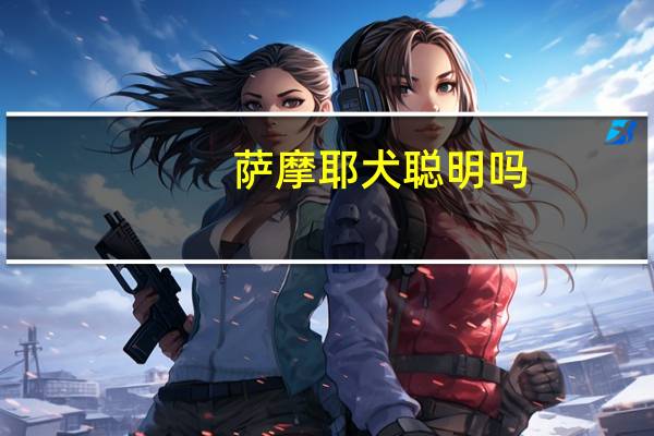 萨摩耶犬聪明吗