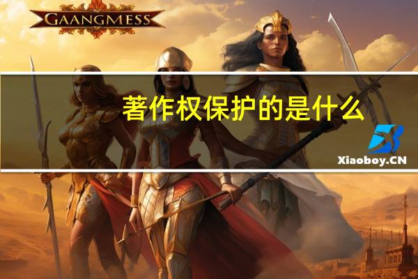 著作权保护的是什么
