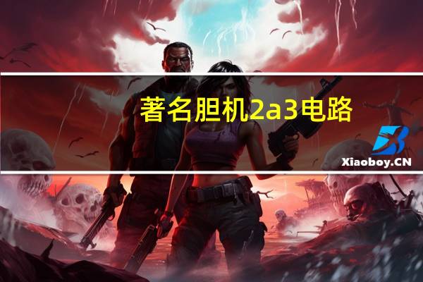 著名胆机2a3电路