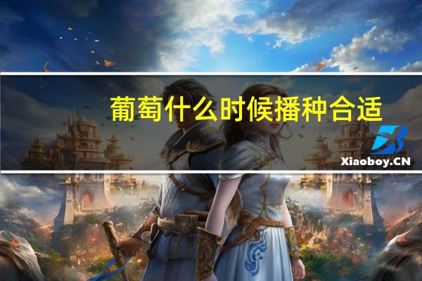 葡萄什么时候播种合适