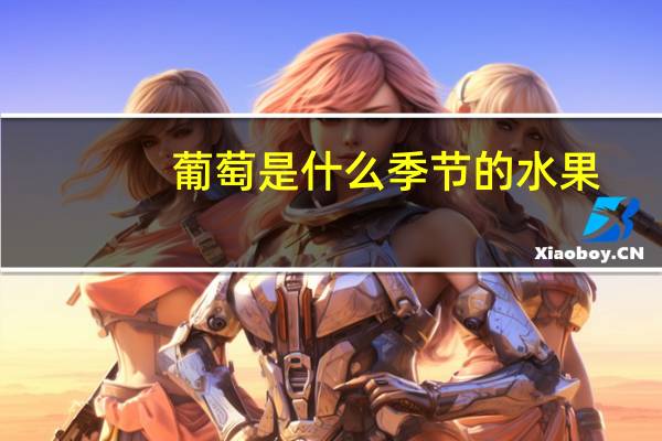 葡萄是什么季节的水果