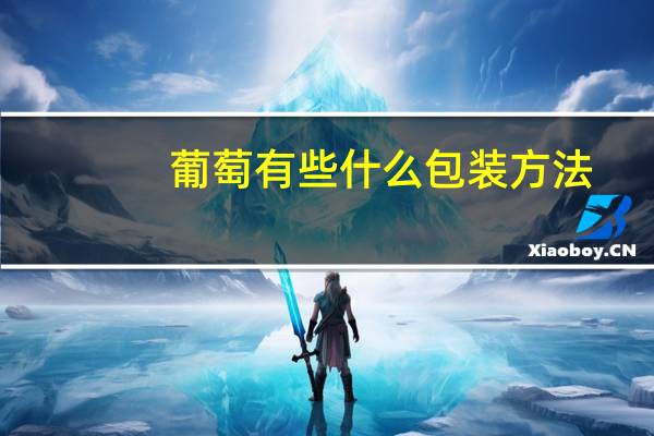 葡萄有些什么包装方法