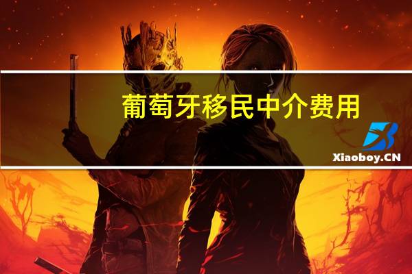 葡萄牙移民中介费用