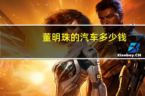 董明珠的汽车多少钱