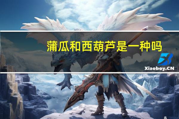 蒲瓜和西葫芦是一种吗