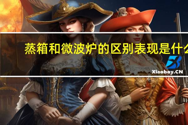 蒸箱和微波炉的区别表现是什么
