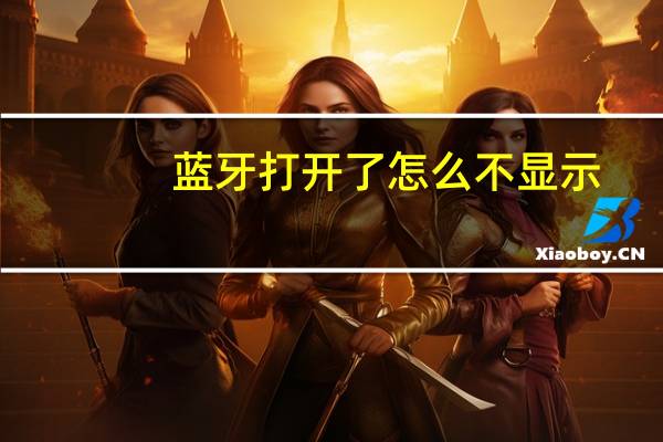 蓝牙打开了怎么不显示