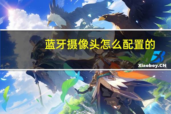蓝牙摄像头怎么配置的