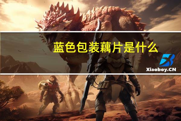 蓝色包装藕片是什么