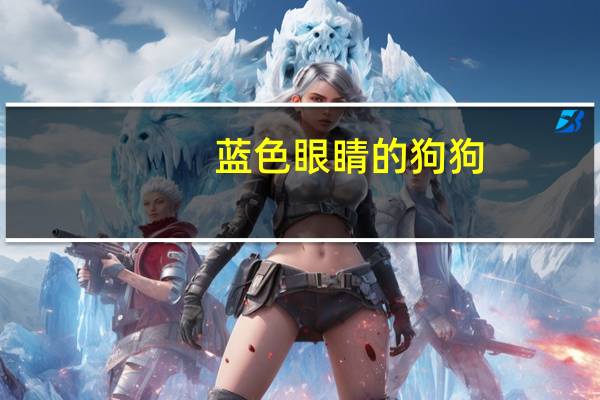 蓝色眼睛的狗狗