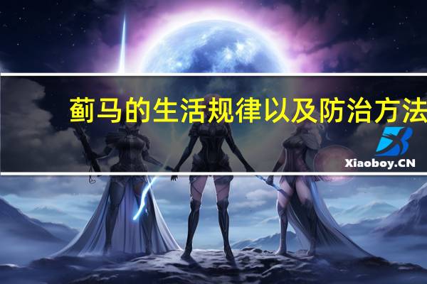 蓟马的生活规律以及防治方法