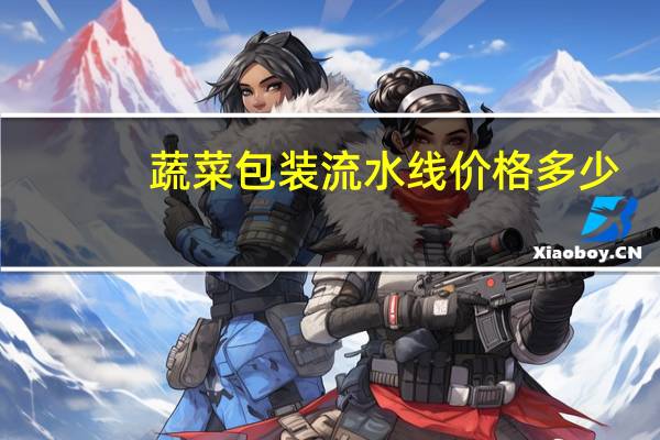 蔬菜包装流水线价格多少