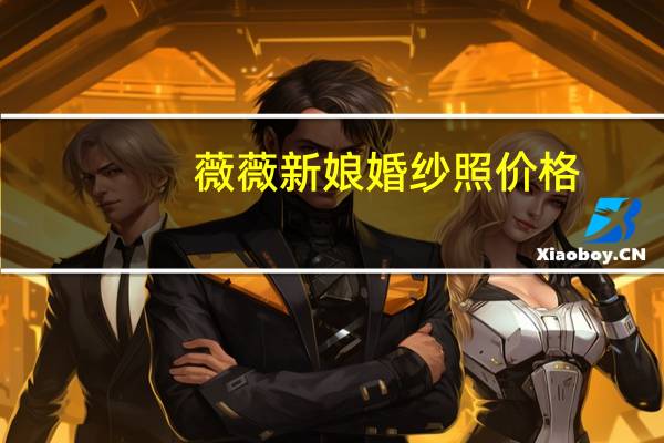 薇薇新娘婚纱照价格