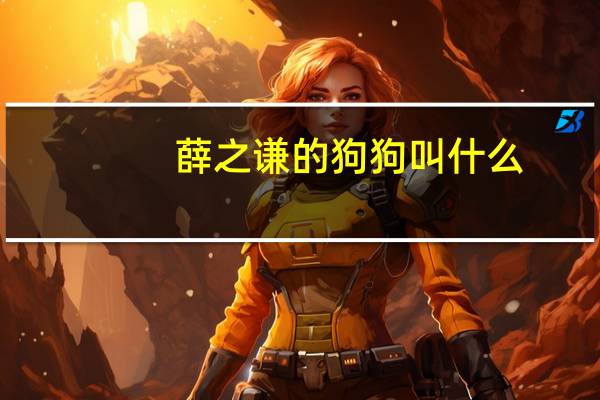 薛之谦的狗狗叫什么