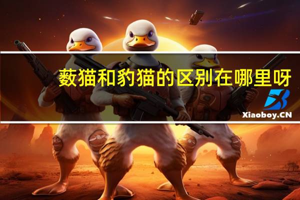 薮猫和豹猫的区别在哪里呀
