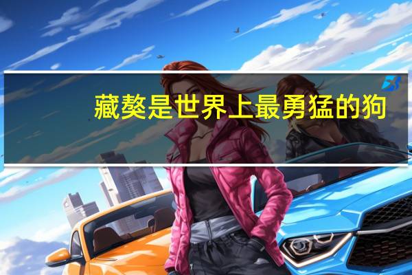 藏獒是世界上最勇猛的狗
