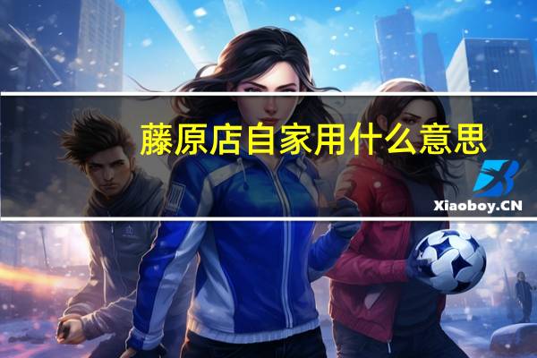 藤原店自家用什么意思