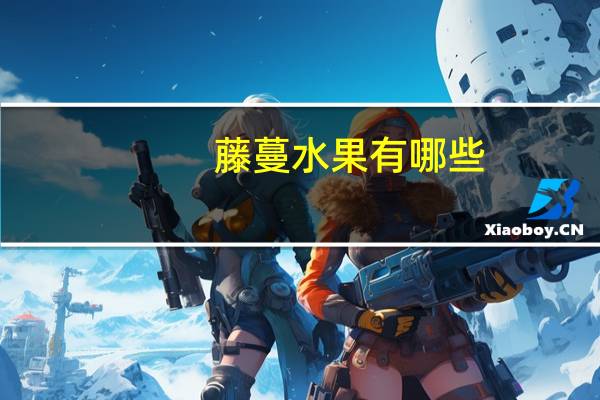 藤蔓水果有哪些