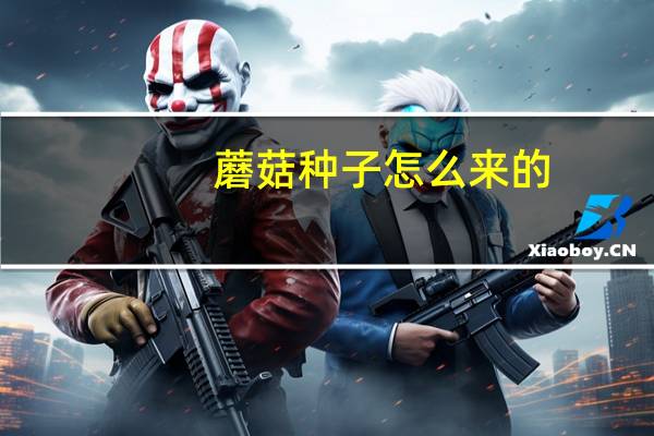 蘑菇种子怎么来的