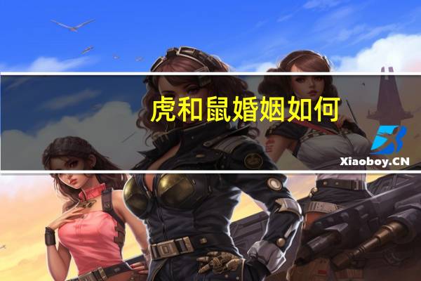 虎和鼠婚姻如何