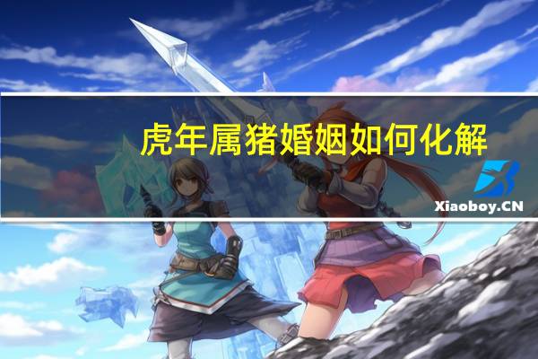 虎年属猪婚姻如何化解