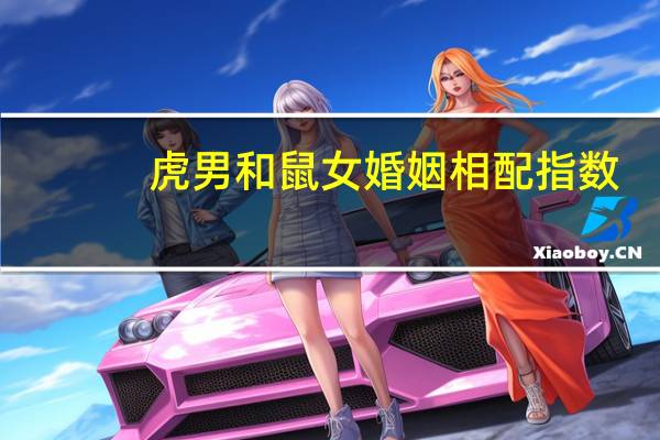 虎男和鼠女婚姻相配指数