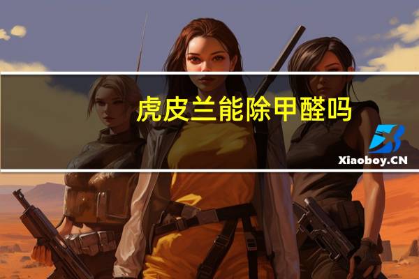 虎皮兰能除甲醛吗