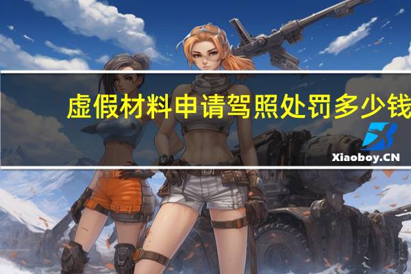虚假材料申请驾照处罚多少钱