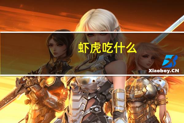 虾虎吃什么