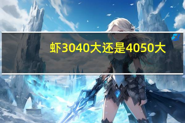 虾3040大还是4050大